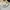 Maison Kitsuné Luxury Futurist T-shirt Pria white photo 3