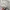 Beams Vintage Y2K Suit Pria gray photo 5