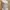 Moschino Casual Babydoll dress Wanita pink photo 2