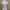 Moschino Casual Babydoll dress Wanita pink photo 8