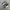 Streetwear Sneakers Pria white black photo 1