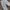 Pull & Bear Casual High waisted jeans Wanita multicolor photo 2