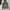 Hollister Streetwear Casual Hoody Pria gray photo 1