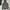 Hollister Streetwear Casual Hoody Pria Gray