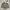 Uniqlo Streetwear Fleece Pria Tan
