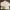 ZARA Minimalist Casual Sweatshirt Pria cream photo 1