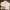 ZARA Minimalist Casual Sweatshirt Pria Cream