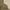 ZARA Minimalist Casual Sweatshirt Pria cream photo 7