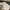 ZARA Minimalist Casual Sweatshirt Pria cream photo 8
