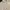 ZARA Minimalist Casual Sweatshirt Pria cream photo 2
