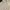 ZARA Minimalist Casual Sweatshirt Pria Cream