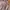 Gorpcore Sportswear Puffer jacket Wanita tan pink photo 5