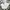 Uniqlo Casual Formal Pants Pria White