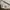 VANS Streetwear Skater Sneakers Pria brown photo 2