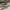 VANS Streetwear Skater Sneakers Pria brown photo 1