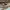 VANS Streetwear Skater Sneakers Pria Brown