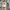 Miniso Sportswear Casual Hat Pria cream photo 1