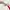 Sportswear Jersey Pria white photo 4