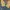 Adidas Casual Hoody Pria yellow photo 6