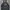 The North Face Casual Hoody Pria Gray