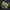 Vintage Sportswear Windbreaker Pria navy photo 7