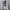 H&M Streetwear Hoody Pria white photo 1