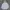 Nike Streetwear Hoody Pria gray photo 1