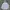 Nike Streetwear Hoody Pria Gray