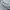 Nike Streetwear Hoody Pria gray photo 4