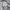 Nike Streetwear Hoody Pria gray photo 5
