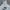Nike Streetwear Hoody Pria gray photo 2