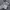 Nike Streetwear Hoody Pria gray photo 4