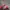 Vintage Y2K Hat Pria red pink photo 4