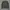 Stone Island Casual Sweater Pria green photo 1