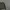 Stone Island Casual Sweater Pria Green
