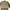 Kappa Streetwear Casual Sweater Pria Tan