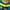Hangten Streetwear Casual Sweater Pria green photo 2