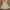 Anko Luxury Fairy Kids white photo 1