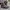 The North Face Sportswear Boots Pria tan brown photo 1