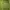 ZARA Casual Cardigan Wanita green photo 2