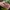 Casual Flat Wanita pink photo 1