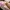 Casual Flat Wanita pink photo 2