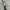 Japanese brand Y2K Avant Garde Belt Wanita multicolor photo 5