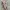 Japanese brand Y2K Avant Garde Belt Wanita multicolor photo 4