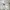Buffalo Bobs Y2K Avant Garde Mini skirt Wanita white photo 6