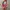 Japanese brand Fairy Indie Bag Pria multicolor photo 1