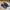 Adidas Casual Sneakers Pria Black