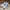 Adidas Casual Sneakers Pria white photo 3