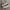 Nike Casual Sneakers Pria white brown photo 1