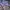 A Bathing Ape Casual Hoody Pria purple cream photo 4